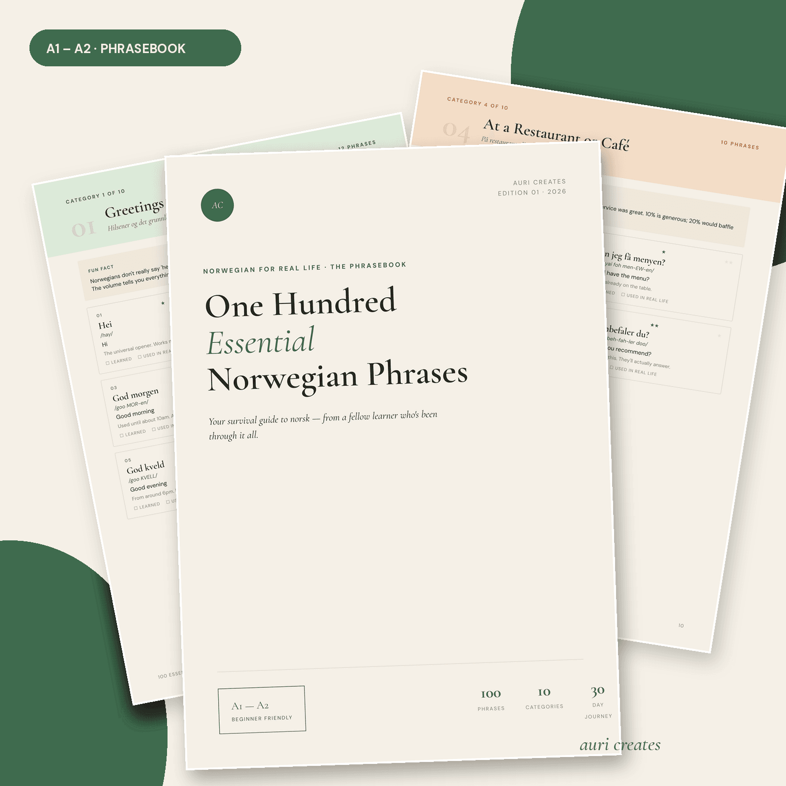 100 Essential Norwegian Phrases – Beginner Phrasebook | Norsk A1-A2 | Printable PDF Guide